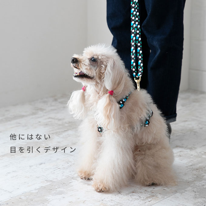 日本製 犬 ハーネス リード セット カラフル おしゃれ