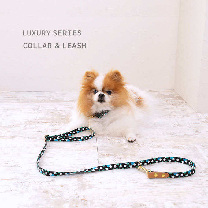 日本製 犬 首輪 リード セット カラフル おしゃれ