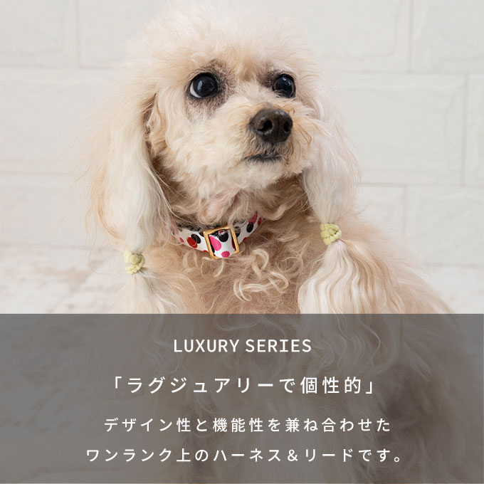 日本製 犬 首輪 リード セット カラフル おしゃれ