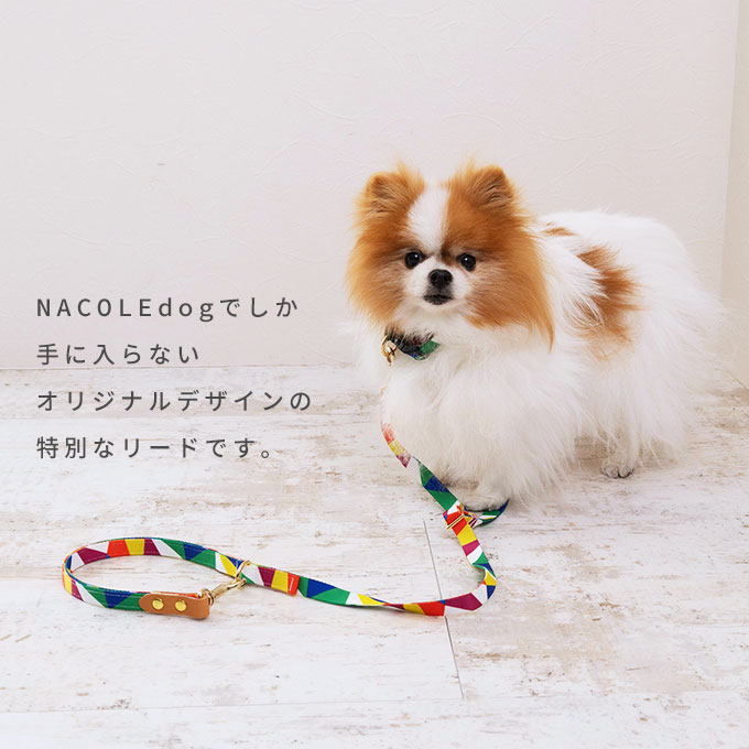日本製 犬 犬用 首輪 リード セット お揃い 単品 カラフル