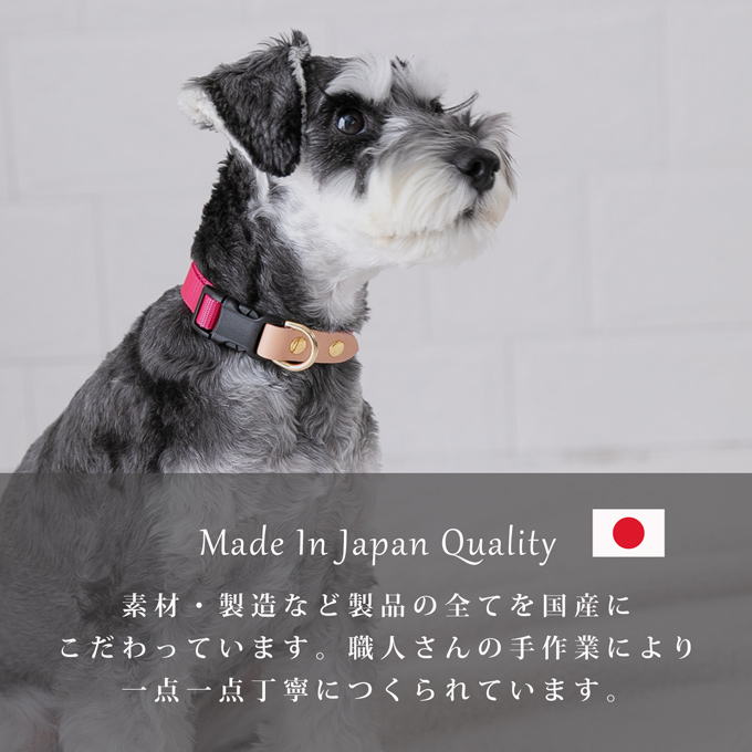 犬　首輪　ペット　おしゃれ首輪　小型犬　nacole ナコル