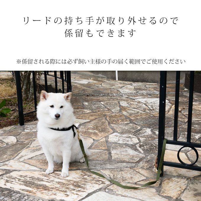リード シンプル おしゃれ 犬 犬用