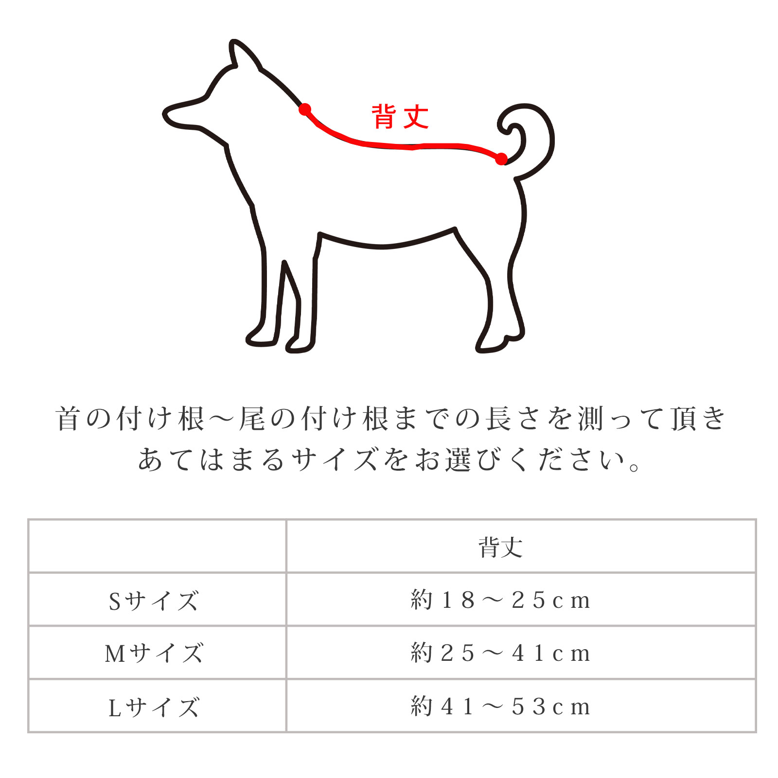 犬 サスペンダー オムツ マナーパンツ サイズ