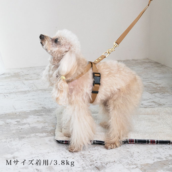 日本製 犬 犬用 8の字 ハーネス リード セット すっぽ抜けない 抜け