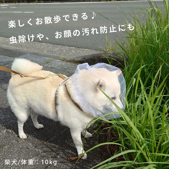 拾い食い防止カバー 誤飲防止 誤食防止 お散歩グッズ