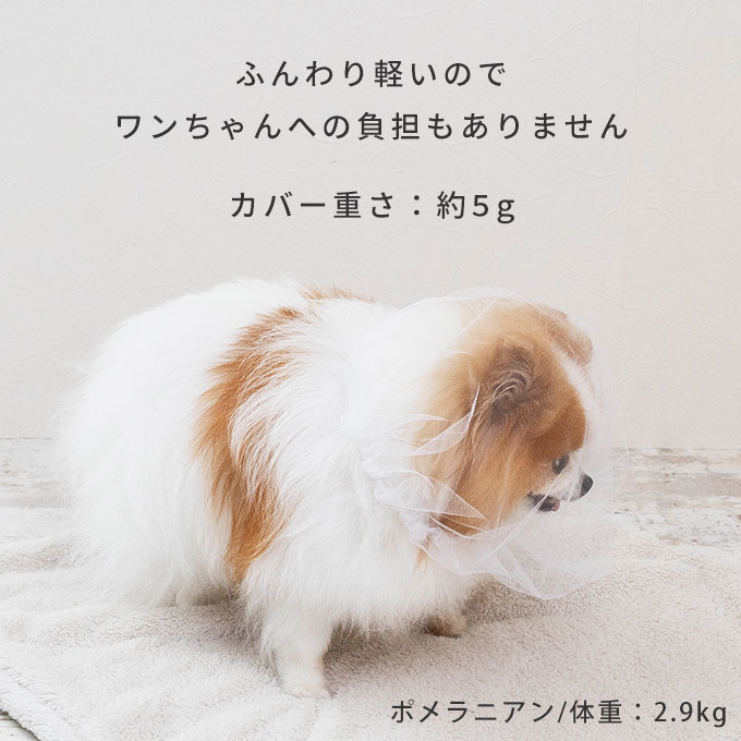 拾い食い防止カバー 誤飲防止 誤食防止 お散歩グッズ