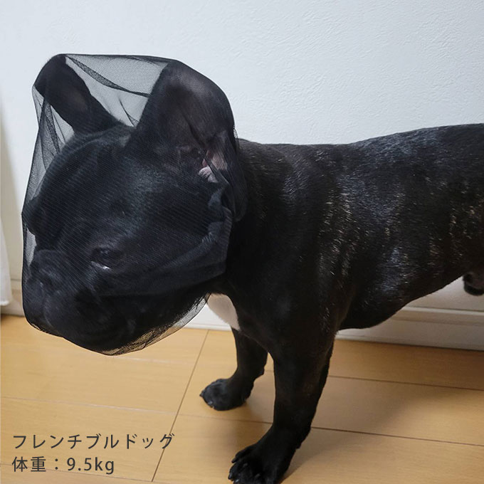 拾い食い防止カバー 誤飲防止 誤食防止 お散歩グッズ