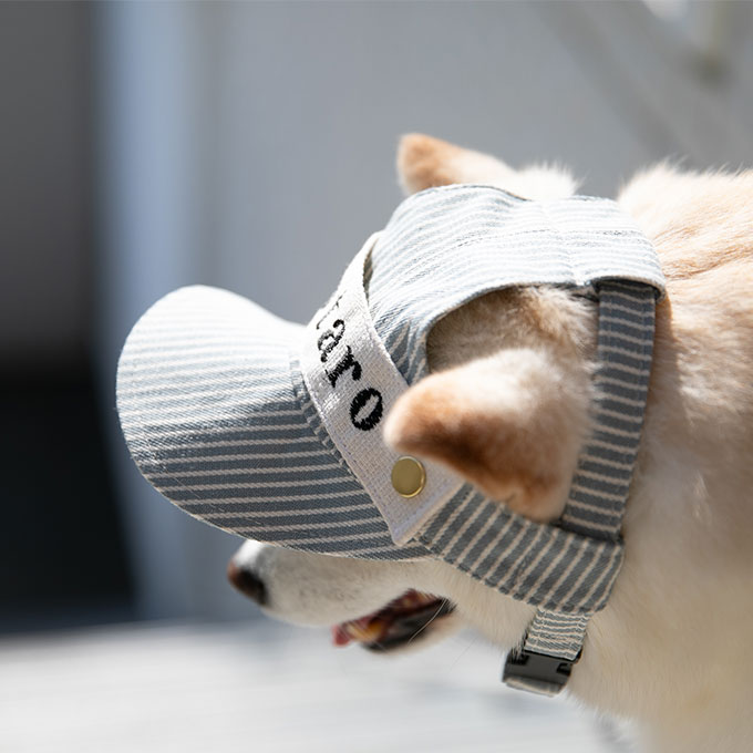 犬 帽子 夏 日よけ 暑さ対策