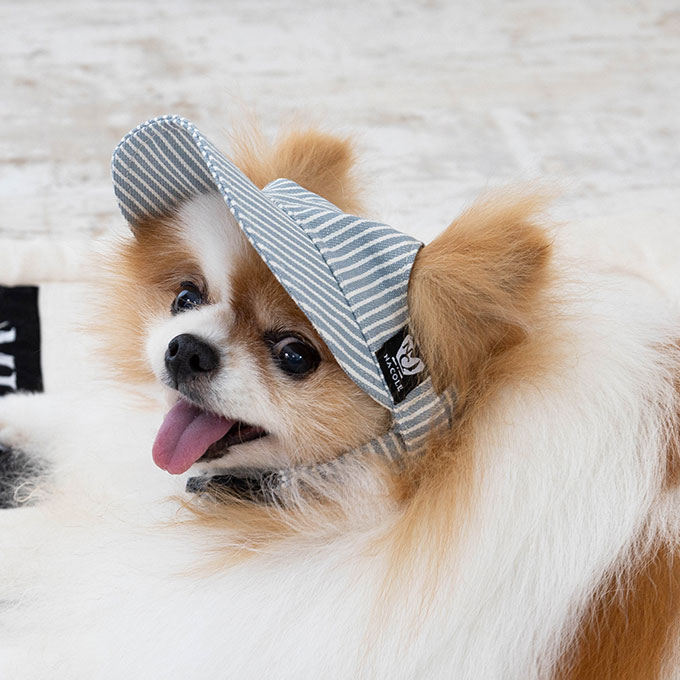 日本製 ペット用 犬 帽子 キャップ 夏 日よけ 暑さ対策 サイズ調節可能 お出かけ 散歩 涼しい 耳 かわいい 犬服 犬用 おしゃれ 犬 猫  ネコポス可 iht