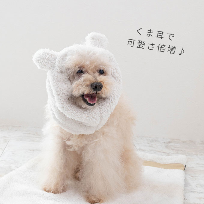 あったか くま耳 耳カバー 犬 スヌード