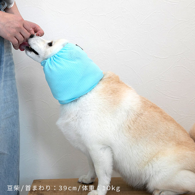 撥水 メッシュ 耳カバー 犬 スヌード