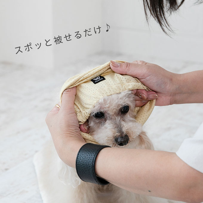 撥水 メッシュ 耳カバー 犬 スヌード