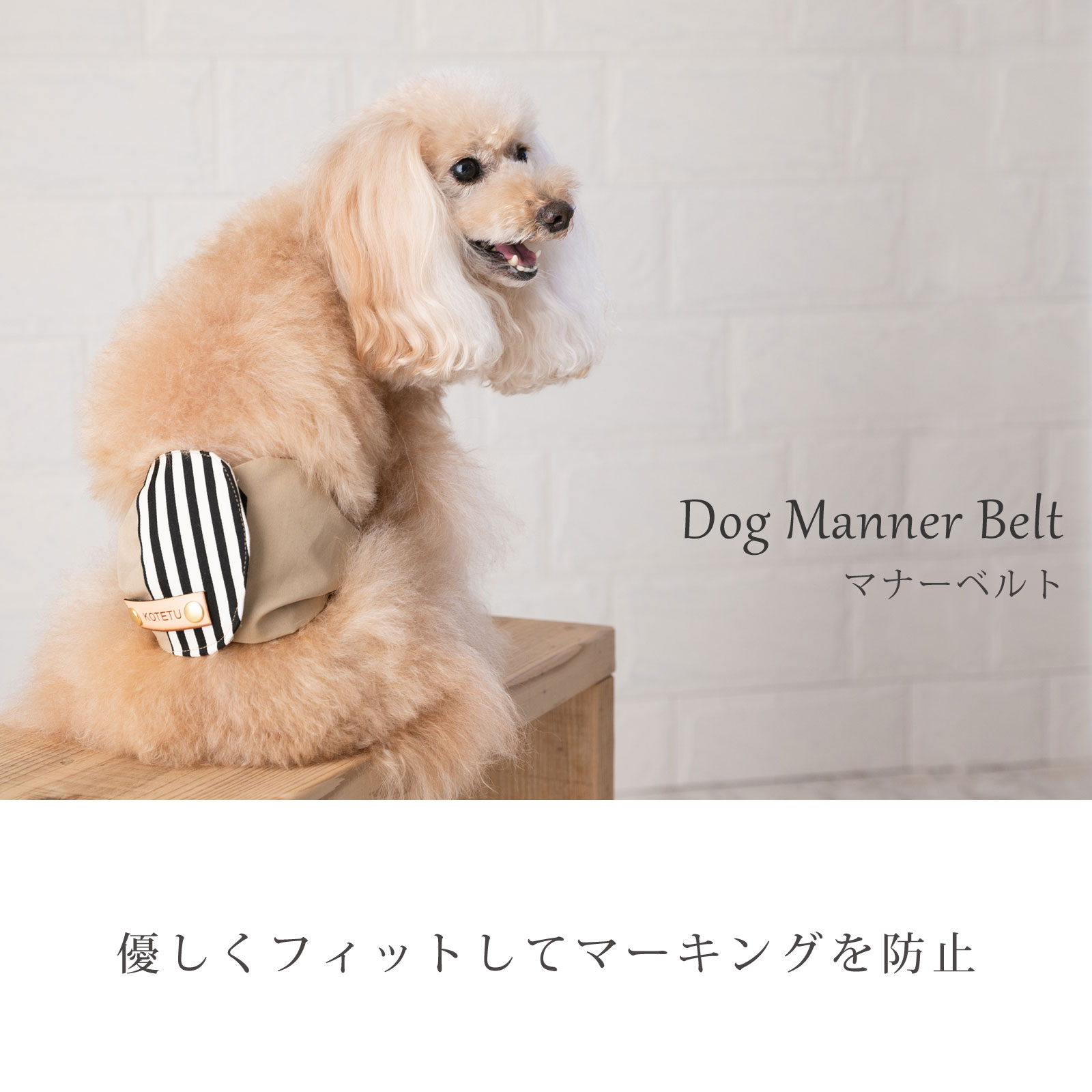 犬 マナーベルト マナーウェア マナーバンド マーキング防止 ナコル