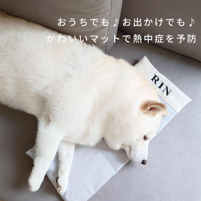 ペット 保冷マット 冷感マット ひんやり 暑さ対策 犬 猫