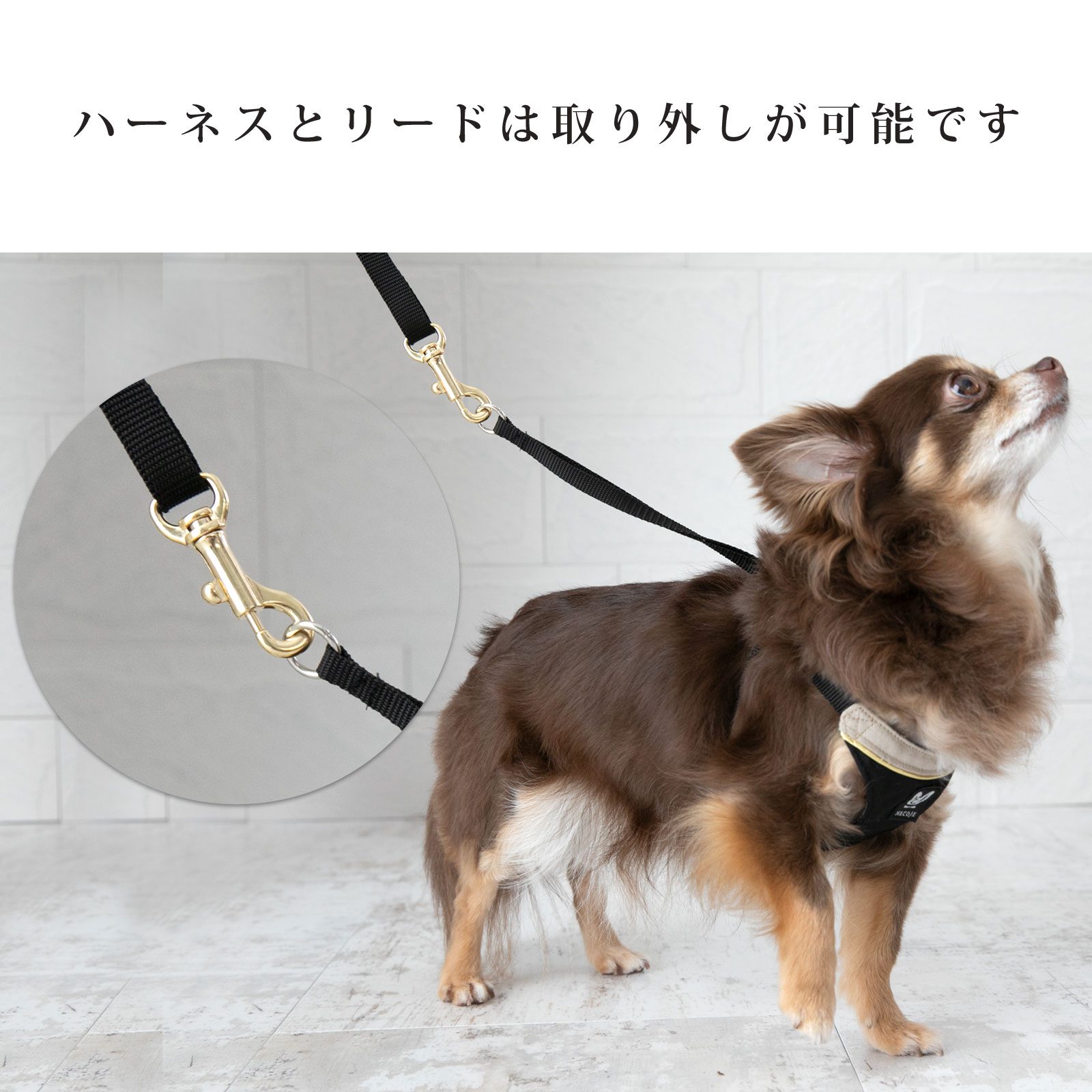 ハーネス リード 犬 ファッションリード