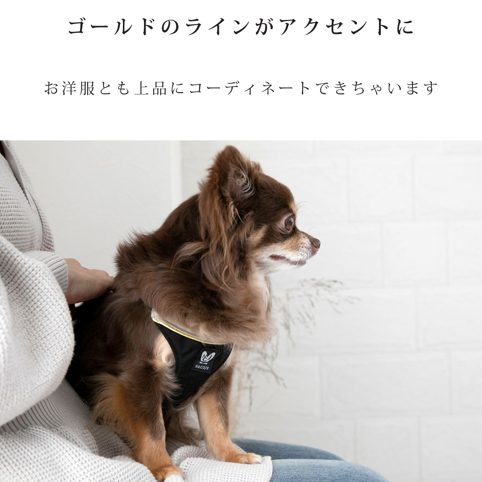 日本製 犬