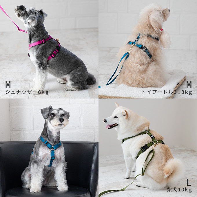 日本製 犬 ハーネス リード セット 上品 おしゃれ