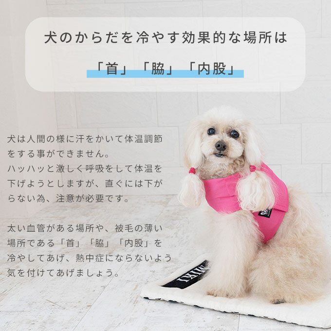 クールベルト ひんやり 犬 夏 熱中症対策 暑さ対策